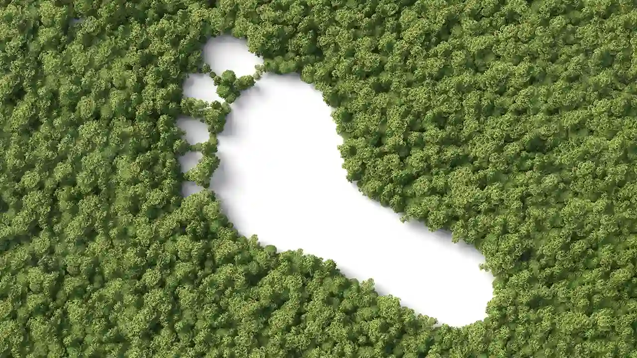 Carbon Footprint Calculation in Industry: Complete Guide for 2026